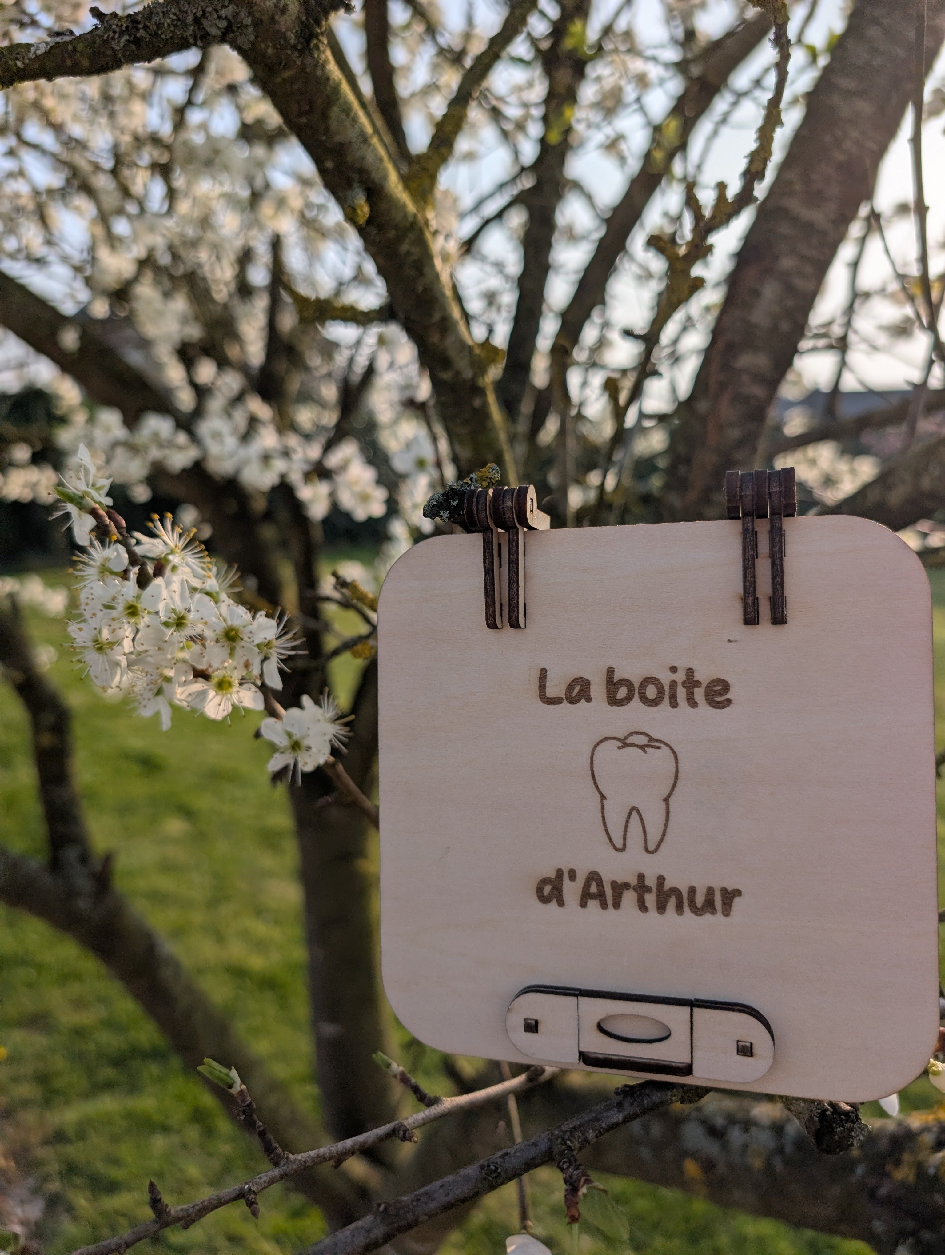 ⚓️🦷 Coffre à trésors des petites dents 🦷⚓️
